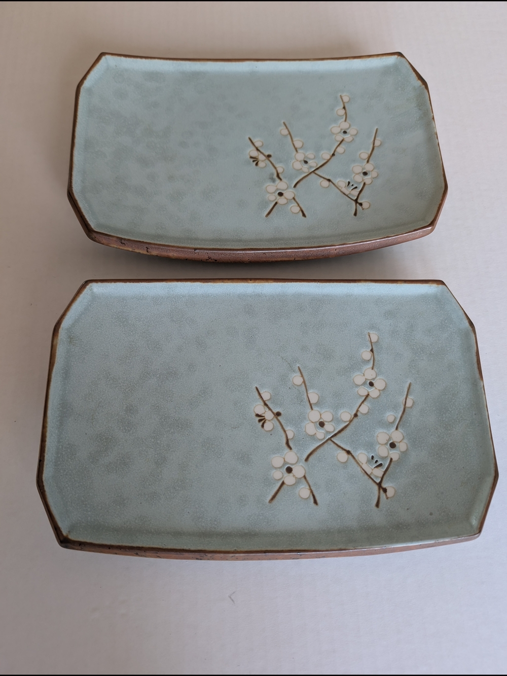Set Of 2 Japanese Miya Pottery Cherry Blossom Sushi Plates